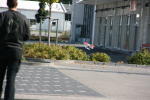 Click on one of the size names above to enlarge this image Click on one of the size names above to enlarge this image