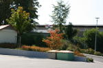Click on one of the size names above to enlarge this image Click on one of the size names above to enlarge this image