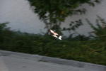 Click on one of the size names above to enlarge this image Click on one of the size names above to enlarge this image
