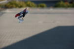Click on one of the size names above to enlarge this image Click on one of the size names above to enlarge this image