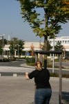 Click on one of the size names above to enlarge this image Click on one of the size names above to enlarge this image