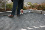 Click on one of the size names above to enlarge this image Click on one of the size names above to enlarge this image
