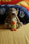 Click on one of the size names above to enlarge this image Click on one of the size names above to enlarge this image