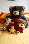 Click on one of the size names above to enlarge this image Click on one of the size names above to enlarge this image
