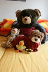 Click on one of the size names above to enlarge this image Click on one of the size names above to enlarge this image