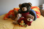 Click on one of the size names above to enlarge this image Click on one of the size names above to enlarge this image