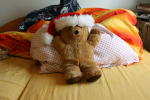 Click on one of the size names above to enlarge this image Click on one of the size names above to enlarge this image