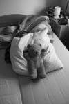 Click on one of the size names above to enlarge this image Click on one of the size names above to enlarge this image