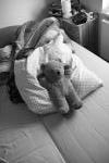 Click on one of the size names above to enlarge this image Click on one of the size names above to enlarge this image