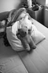 Click on one of the size names above to enlarge this image Click on one of the size names above to enlarge this image