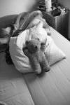 Click on one of the size names above to enlarge this image Click on one of the size names above to enlarge this image