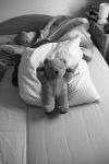 Click on one of the size names above to enlarge this image Click on one of the size names above to enlarge this image