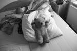 Click on one of the size names above to enlarge this image Click on one of the size names above to enlarge this image