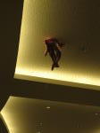 Click on one of the size names above to enlarge this image Click on one of the size names above to enlarge this image