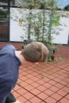 Click on one of the size names above to enlarge this image Click on one of the size names above to enlarge this image