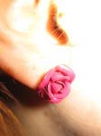 Click on one of the size names above to enlarge this image Click on one of the size names above to enlarge this image