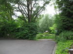 Click on one of the size names above to enlarge this image Click on one of the size names above to enlarge this image
