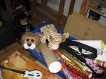 Click on one of the size names above to enlarge this image Click on one of the size names above to enlarge this image