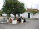 Click on one of the size names above to enlarge this image Click on one of the size names above to enlarge this image