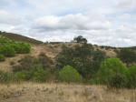 Click on one of the size names above to enlarge this image Click on one of the size names above to enlarge this image
