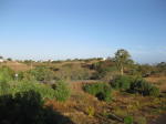 Click on one of the size names above to enlarge this image Click on one of the size names above to enlarge this image
