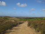 Click on one of the size names above to enlarge this image Click on one of the size names above to enlarge this image