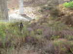 Click on one of the size names above to enlarge this image Click on one of the size names above to enlarge this image