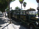 Click on one of the size names above to enlarge this image Click on one of the size names above to enlarge this image