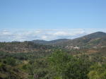 Click on one of the size names above to enlarge this image Click on one of the size names above to enlarge this image