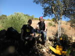 Click on one of the size names above to enlarge this image Click on one of the size names above to enlarge this image