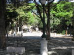 Click on one of the size names above to enlarge this image Click on one of the size names above to enlarge this image