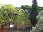 Click on one of the size names above to enlarge this image Click on one of the size names above to enlarge this image