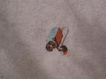 Click on one of the size names above to enlarge this image Click on one of the size names above to enlarge this image