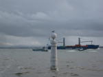Click on one of the size names above to enlarge this image Click on one of the size names above to enlarge this image