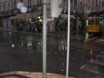 Click on one of the size names above to enlarge this image Click on one of the size names above to enlarge this image