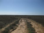 Click on one of the size names above to enlarge this image Click on one of the size names above to enlarge this image