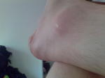 Click on one of the size names above to enlarge this image Click on one of the size names above to enlarge this image
